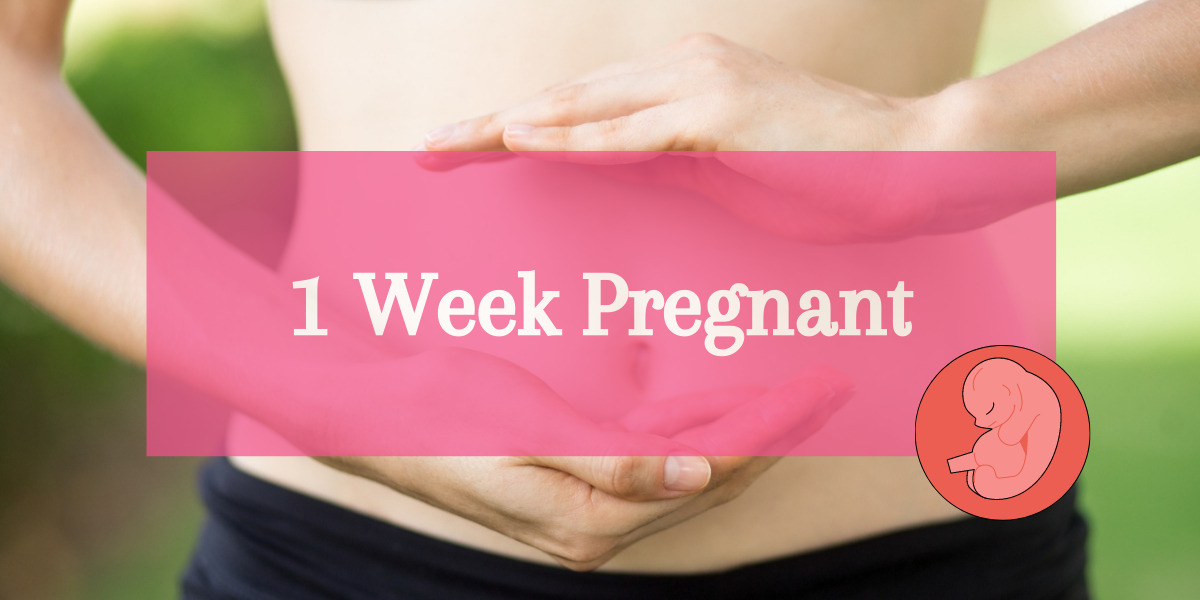 1 Week Pregnant guide